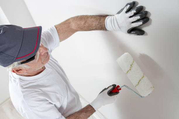 Best Crawl Space Mold Remediation  in Platte, SD
