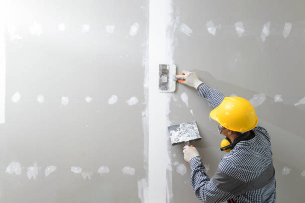 Best Attic Mold Removal  in Platte, SD