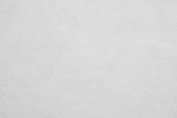 Environmental Consulting for Mold Prevention