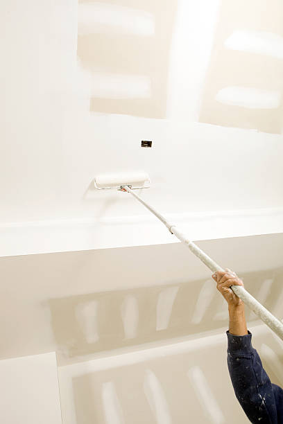 Best Basement Mold Removal  in Platte, SD
