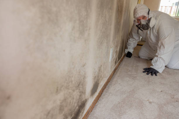 Best Post-Remediation Verification Testing  in Platte, SD